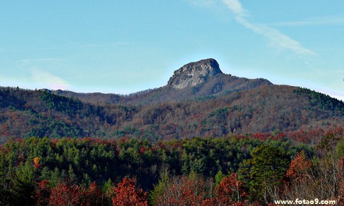梦见被狗咬一下手指,解梦梦见被狗咬一下手指 梦见被狗咬一下手指,解梦梦见被狗咬一下手指