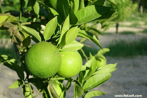 μȥĸվڼſ,μȥĸվڼſ