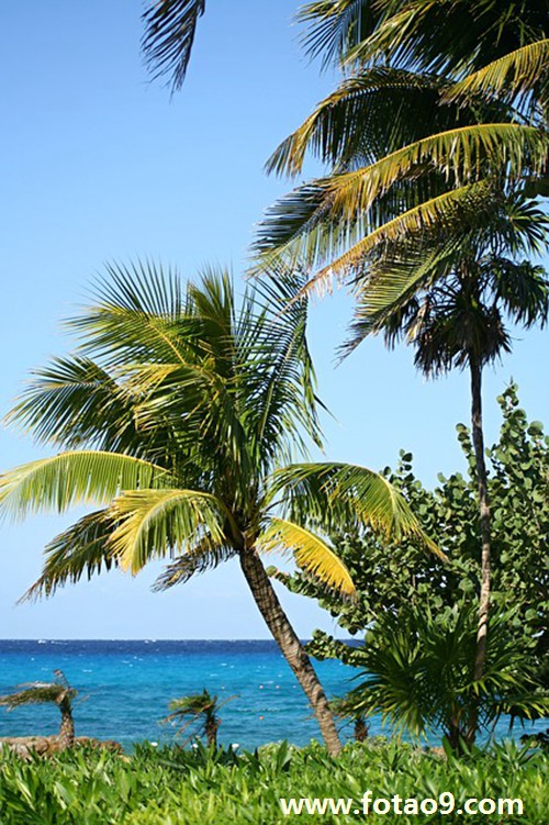 梦见和妈妈吃稀饭,解梦梦见和妈妈吃稀饭 梦见和妈妈吃稀饭,解梦梦见和妈妈吃稀饭