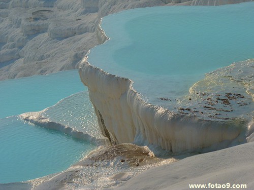 梦见满树开满白色玉兰花,解梦梦见满树开满白色玉兰花 梦见满树开满白色玉兰花,解梦梦见满树开满白色玉兰花