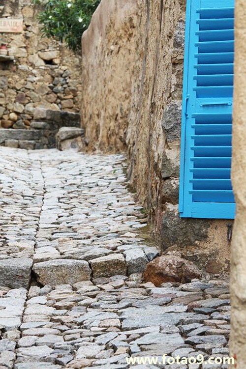 μץסһֻƯĻɫ,μץסһֻƯĻɫ