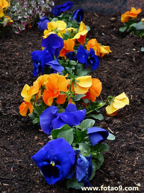 梦见老婆被弟弟侵犯,解梦梦见老婆被弟弟侵犯 梦见老婆被弟弟侵犯,解梦梦见老婆被弟弟侵犯