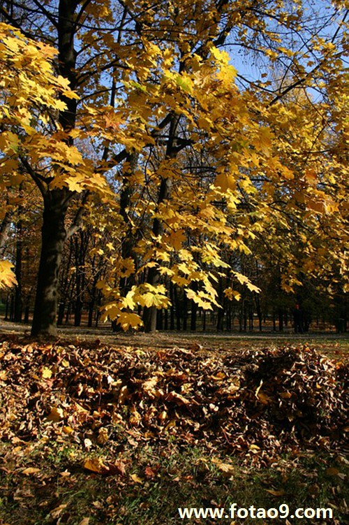 μ˸Լһ˫Ь,μ˸Լһ˫Ь