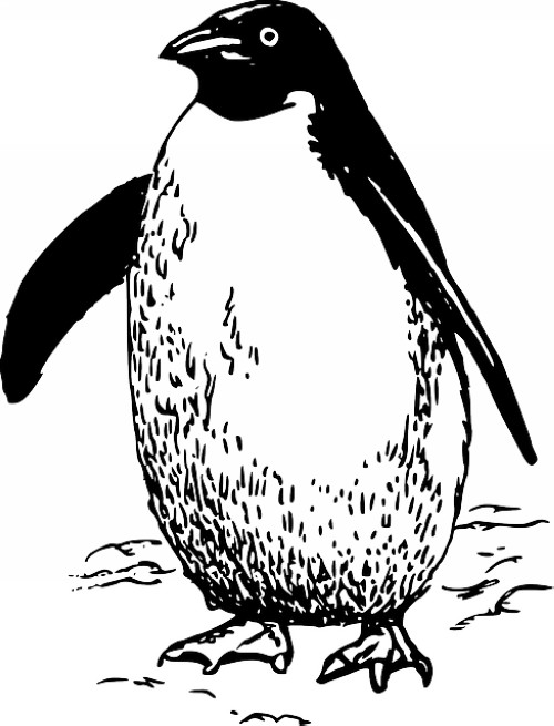 μˮЩݽ,μˮЩݽ