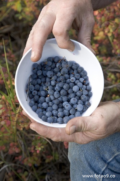 μ˼ҵȻѪ,μ˼ҵȻѪ