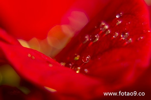 梦见学生家长送我钱,解梦梦见学生家长送我钱 梦见学生家长送我钱,解梦梦见学生家长送我钱