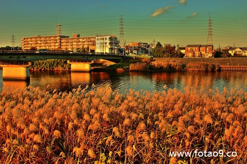 梦见和尚接吻,解梦梦见和尚接吻 梦见和尚接吻,解梦梦见和尚接吻