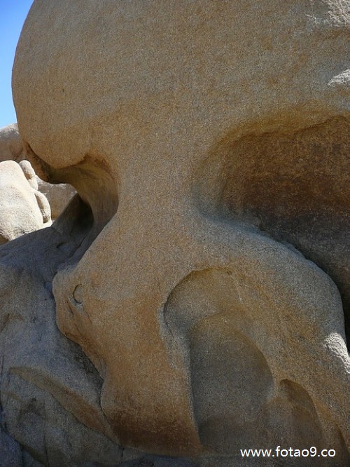μÿһ,μÿһ