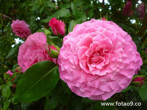 μҵ^ںڵ,μҵ^ںڵ