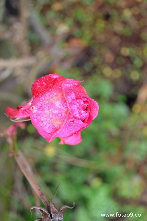 梦见家人全部被怪物杀害,解梦梦见家人全部被怪物杀害 梦见家人全部被怪物杀害,解梦梦见家人全部被怪物杀害