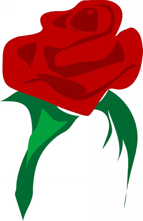 μԺʦ,μԺʦ