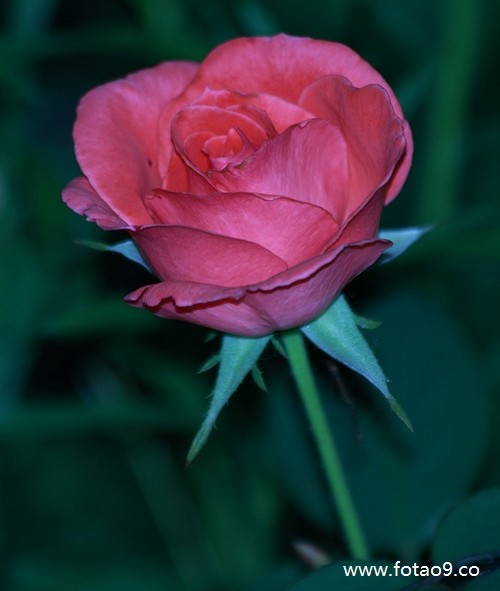 μʱǮ,μʱǮ
