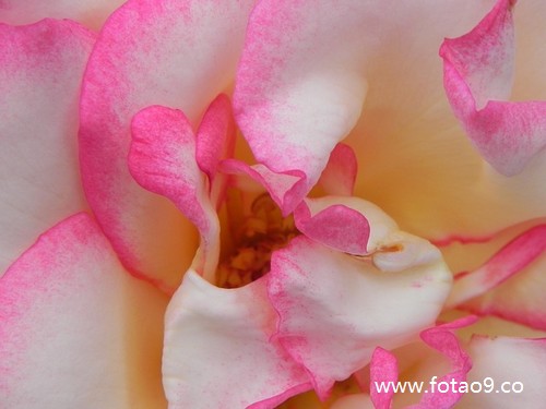 梦见背柴去卖,解梦梦见背柴去卖 梦见背柴去卖,解梦梦见背柴去卖