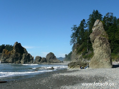 μһŮ˺ͱڽ,μһŮ˺ͱڽ