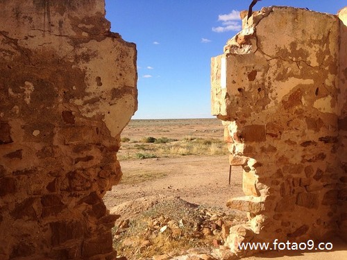 梦见属牛的死人,解梦梦见属牛的死人 梦见属牛的死人,解梦梦见属牛的死人