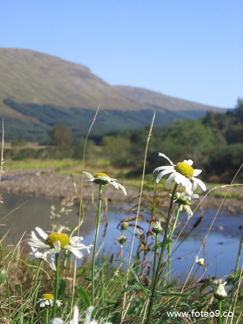 梦见和同伴一起扫拉圾,解梦梦见和同伴一起扫拉圾 梦见和同伴一起扫拉圾,解梦梦见和同伴一起扫拉圾