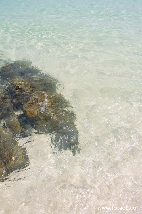 梦见鱼饥饿,解梦梦见鱼饥饿 梦见鱼饥饿,解梦梦见鱼饥饿