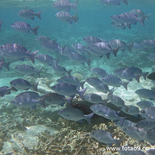 梦见和亲人吵架特别难过,解梦梦见和亲人吵架特别难过 梦见和亲人吵架特别难过,解梦梦见和亲人吵架特别难过