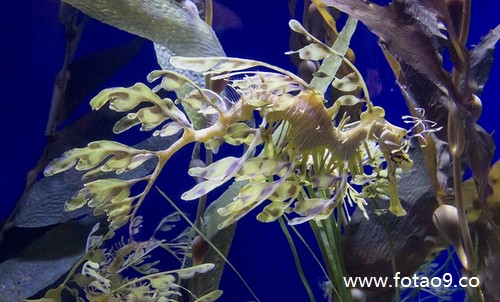 μѱźͱĺ,μѱźͱĺ