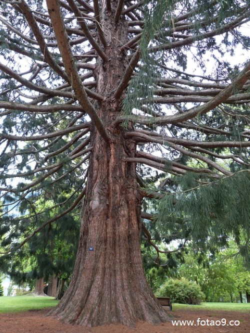 梦见同事从好高的地方摔下去,解梦梦见同事从好高的地方摔下去 梦见同事从好高的地方摔下去,解梦梦见同事从好高的地方摔下去