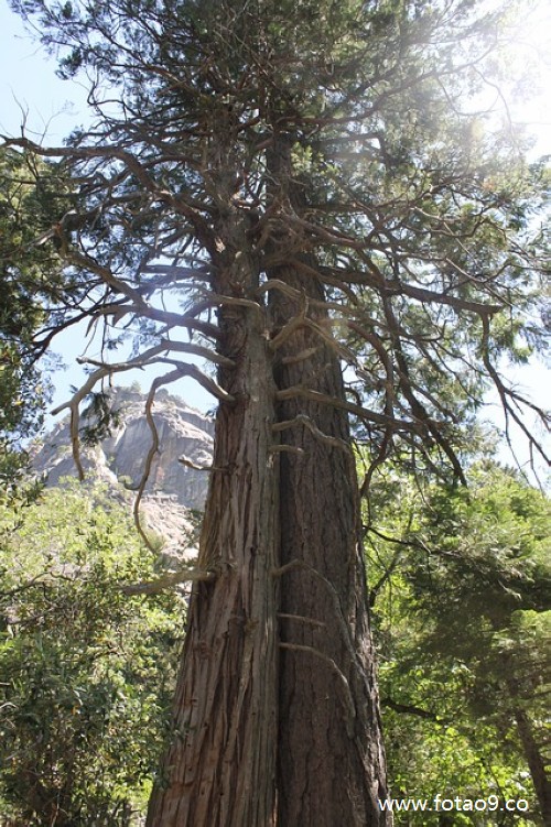 μһ˫̥ܵ,μһ˫̥ܵ