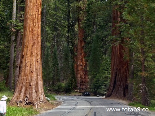 梦见衣服上有个洞里面住蜘蛛,解梦梦见衣服上有个洞里面住蜘蛛 梦见衣服上有个洞里面住蜘蛛,解梦梦见衣服上有个洞里面住蜘蛛