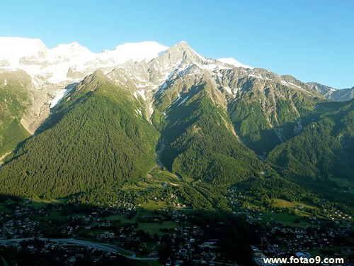 梦见有一只金丝猴给我回家,解梦梦见有一只金丝猴给我回家 梦见有一只金丝猴给我回家,解梦梦见有一只金丝猴给我回家