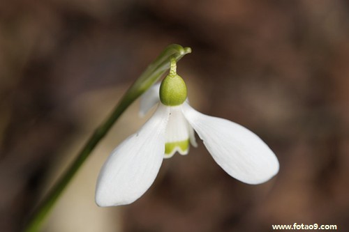 �μ���������ǣ���ҵ���,�����μ���������ǣ���ҵ���