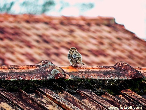 μĸҽԺˮ,μĸҽԺˮ