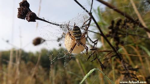 梦见在装修高楼,解梦梦见在装修高楼 梦见在装修高楼,解梦梦见在装修高楼