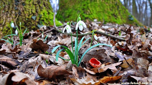 μͬѧҼҾۻ,μͬѧҼҾۻ