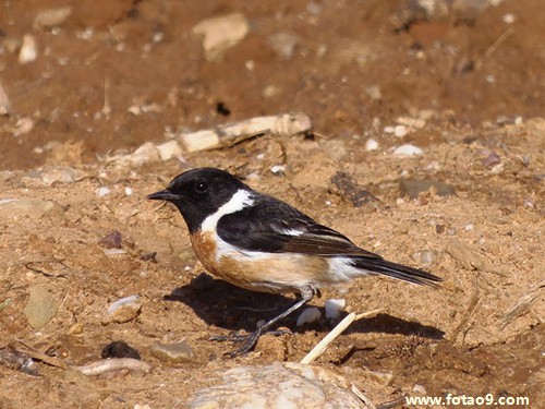 梦见洗菜烧菜,解梦梦见洗菜烧菜 梦见洗菜烧菜,解梦梦见洗菜烧菜