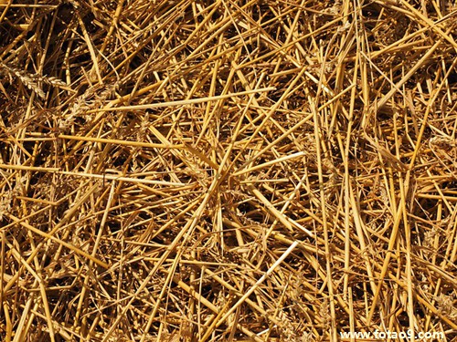 μұСˮϾȻ,μұСˮϾȻ