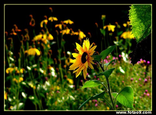 梦见他人突然死亡,解梦梦见他人突然死亡 梦见他人突然死亡,解梦梦见他人突然死亡