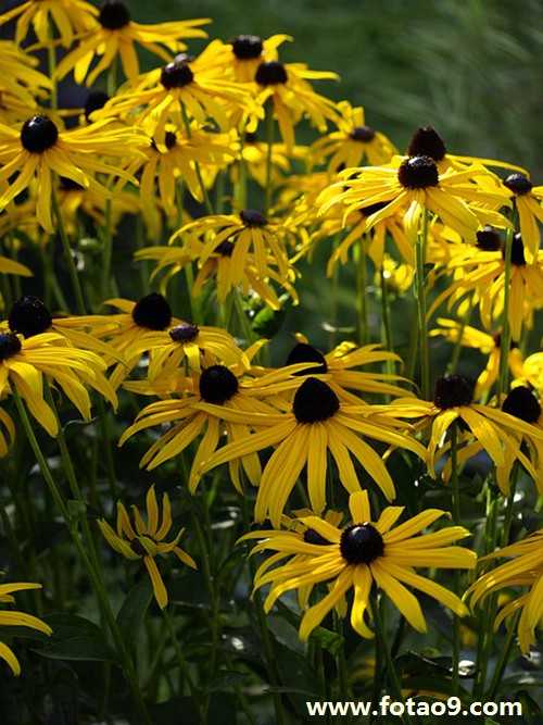 梦见纹眉不一样高,解梦梦见纹眉不一样高 梦见纹眉不一样高,解梦梦见纹眉不一样高