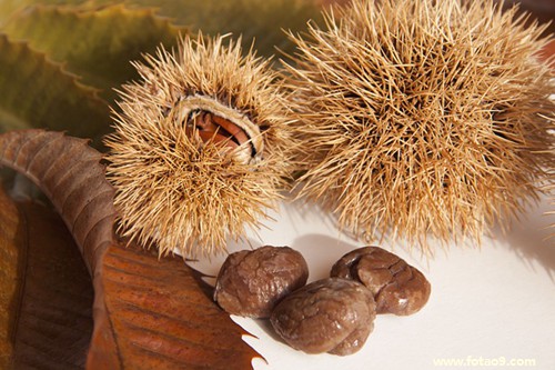 μӷȥ,μӷȥ