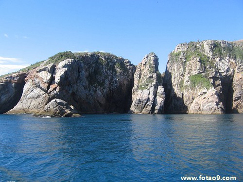 μȥع,μȥع