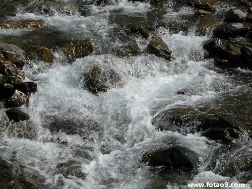 μԶȥѧУ,μԶȥѧУ