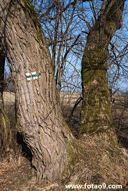 梦见朋友们住一个单元,解梦梦见朋友们住一个单元 梦见朋友们住一个单元,解梦梦见朋友们住一个单元