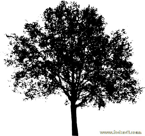 梦见丈夫找到工作,解梦梦见丈夫找到工作 梦见丈夫找到工作,解梦梦见丈夫找到工作