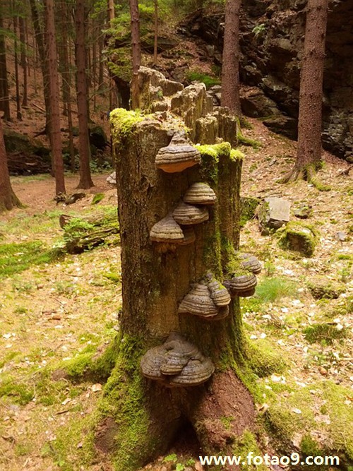 μԼȥŮûܿ,μԼȥŮûܿ