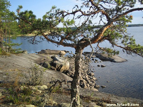 梦见姐夫被水淹死,解梦梦见姐夫被水淹死 梦见姐夫被水淹死,解梦梦见姐夫被水淹死