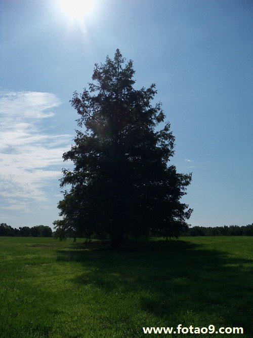 梦见满脸大毒疙瘩,解梦梦见满脸大毒疙瘩 梦见满脸大毒疙瘩,解梦梦见满脸大毒疙瘩