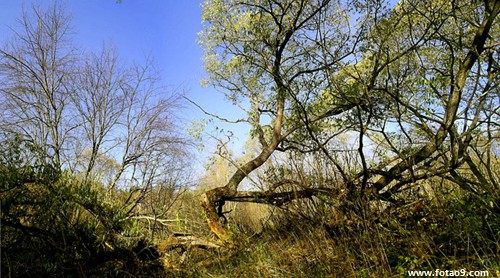 μܵܵƨʺûвɾ,μܵܵƨʺûвɾ