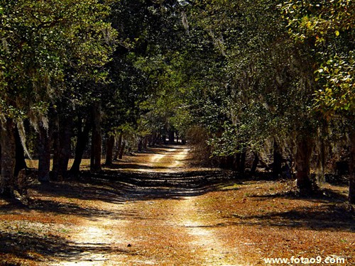 梦见朋友来电哭泣,解梦梦见朋友来电哭泣 梦见朋友来电哭泣,解梦梦见朋友来电哭泣