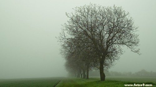 μı,μı