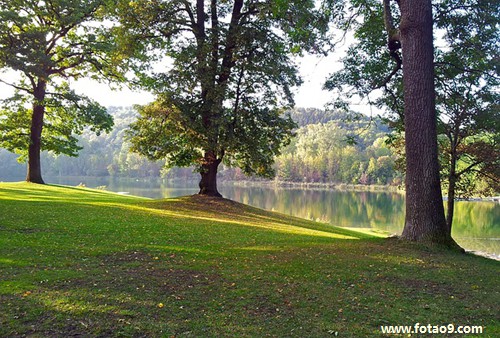梦见闺蜜被淹死,解梦梦见闺蜜被淹死 梦见闺蜜被淹死,解梦梦见闺蜜被淹死