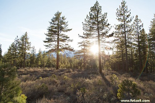 梦见别人因为骑自行车抢道打架,解梦梦见别人因为骑自行车抢道打架 梦见别人因为骑自行车抢道打架,解梦梦见别人因为骑自行车抢道打架