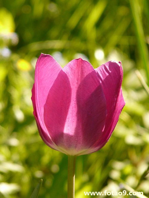 μ´ſڷˮ,μ´ſڷˮ