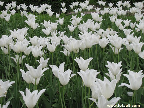 梦见跟着死去的亲人同行,解梦梦见跟着死去的亲人同行 梦见跟着死去的亲人同行,解梦梦见跟着死去的亲人同行